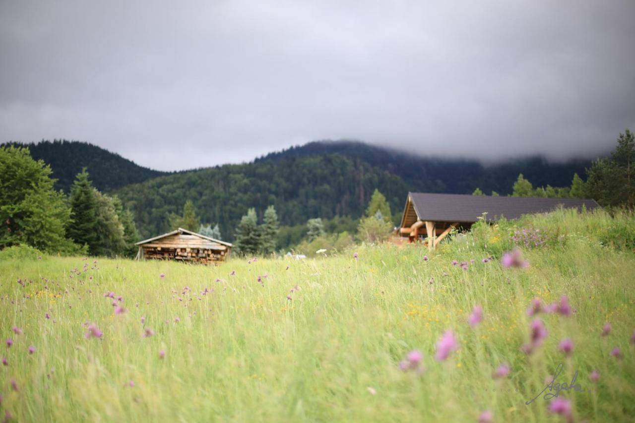Krolewski Superior Z Sauna Zakopane